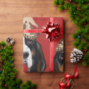 Search for basset hounds wrapping paper Bassett hound