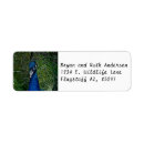 Search for male return address labels Wings