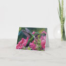Search for hummingbird thank you cards Colourful
