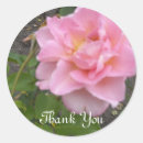 Search for pink thankyou stickers Flowers
