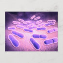 Search for pathology postcards Medical