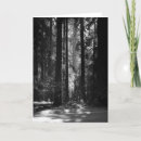 Search for santa photo cards Photos