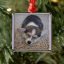 Search for corgi christmas decor Cute