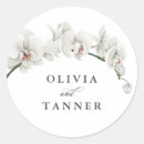 Search for beach envelope seals Luau