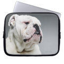 Search for computer humor photography Small business