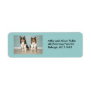 Search for sheepdog return address labels Shetland