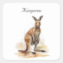 Search for kangaroo stickers Down under