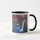 Search for havasu mugs Arizona