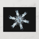 Search for atmospheric postcards Meteorology