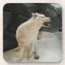 Search for wolf coasters Wildlife