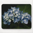 Search for hydrangea mousepads Blue