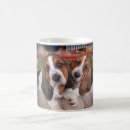 Search for basset hounds mugs Puppies