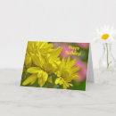 Search for yellow daisy birthday cards Pretty