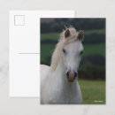 Search for headshot postcards Grey