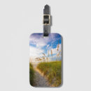 Search for beach path Landscape