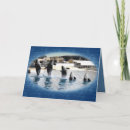 Search for orca whale photography Orcas
