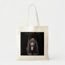 Search for shepard accessories Black