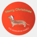 Search for red hats stickers Dog lover