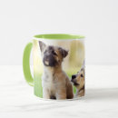 Search for german shepherd puppies mugs Outdoors