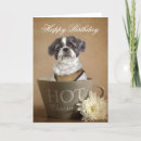 Search for lhasa cards Apso