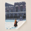 Search for harry potter throw blankets Magic