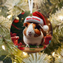 Search for guinea pig christmas tree decorations Festive