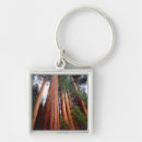 Search for growth key rings Superstock