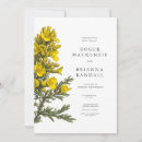 Search for gorse Yellow