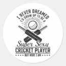 Search for cricket ball stickers Sixer