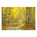 Search for roading sign posters Solitude