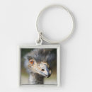 Search for ostrich key rings Beak