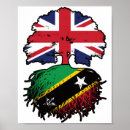 Search for kittes posters Saint kitts