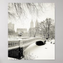 Search for central park winter posters New york city