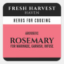 Search for herbs Plant