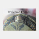 Search for turtle doormats Photography
