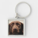 Search for loyalty key rings Indoors