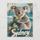 Search for koala postcards Sydney