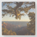 Search for grand canyon coasters Sunset