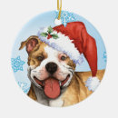 Search for pit bull christmas tree decorations Apbt