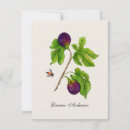 Search for vintage botanical print cards Elegant