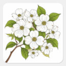Search for dogwood blossom stickers Flowers