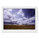 Search for northern california Sky