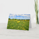 Search for buttercup cards Meadow