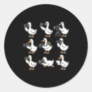 Search for goose photo stickers Photography