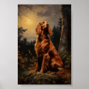 Search for irish setter posters Ireland