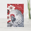 Search for parrot mothers day cards For her