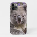 Search for koala iphone cases Bear