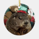 Search for groundhog christmas tree decorations Woodchuck