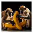 Search for cute monkey posters Animal lover