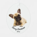 Search for french bulldogs christmas tree decorations Animal